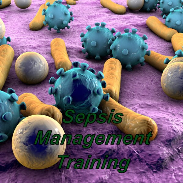 Sepsis management online training course, ideal for care home & healthcare managers